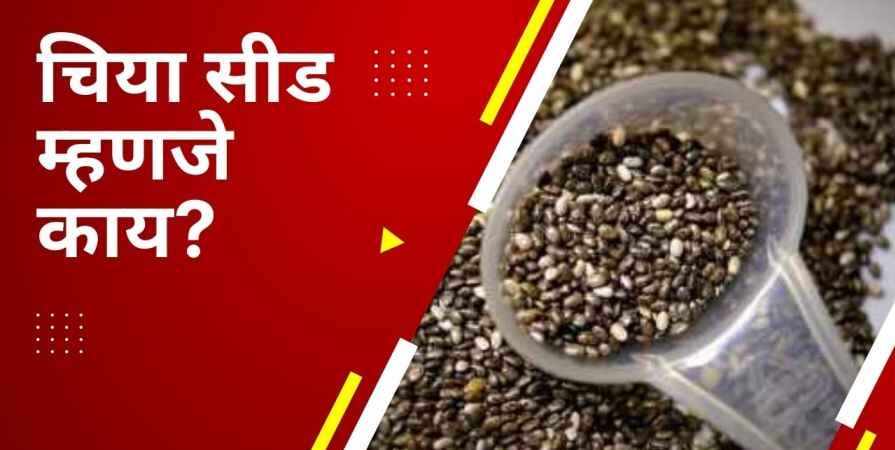 Chia Seeds in Marathi