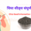 चिया सीड्स : संपूर्ण माहिती  “Chia seeds in Marathi : 10 Powerful Effects”