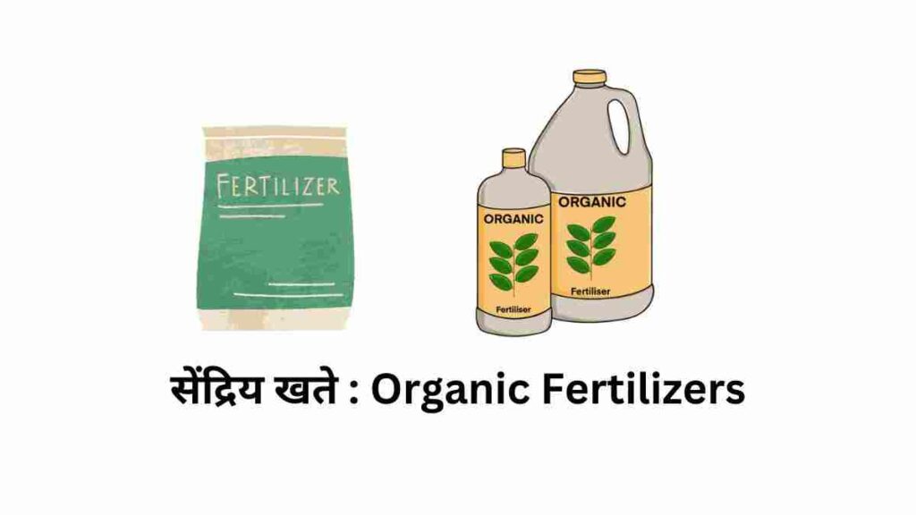 सेंद्रिय खते : Organic Fertilizers