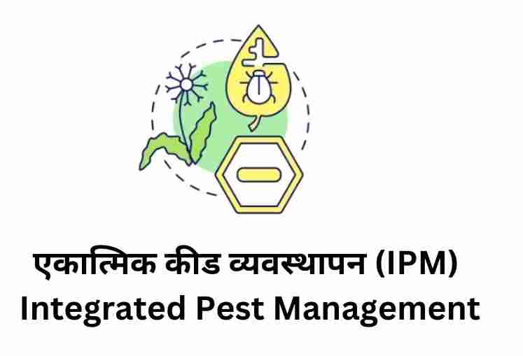 एकात्मिक कीड व्यवस्थापन (IPM) : Integrated Pest Management