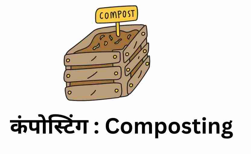 कंपोस्टिंग : Composting 