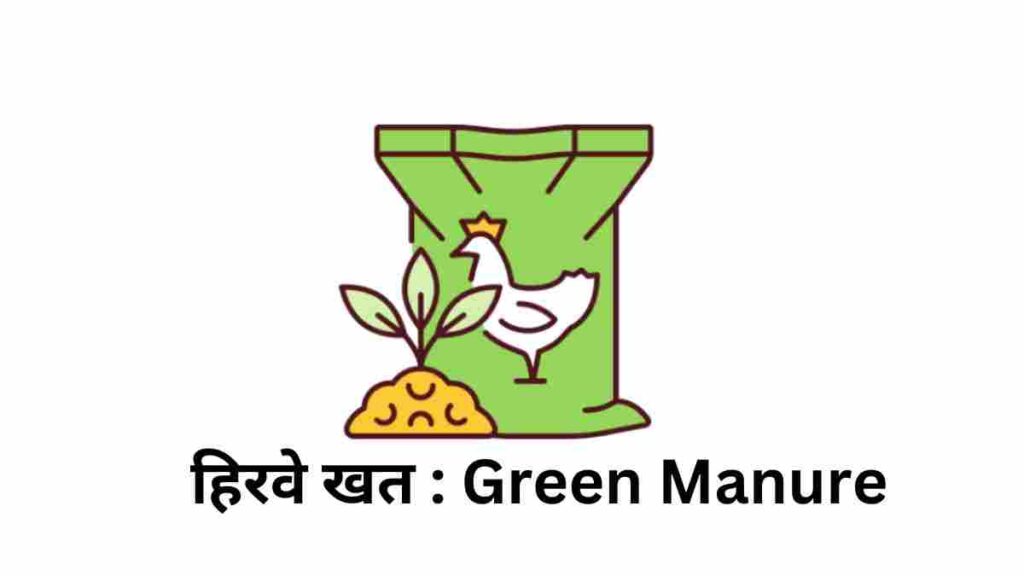 हिरवे खत : Green Manure